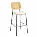 Anais Natural Rattan Counter Stool - Set of 2 image