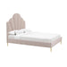 Bianca Blush Velvet Bed in Queen - Home And Beyond