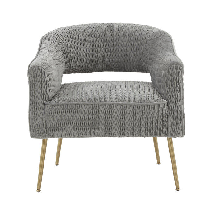 Diana Grey Velvet Accent Chair - Home And Beyond