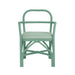 Ginny Green Rattan Dining Chair - Home And Beyond