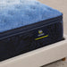 Classic Brecon 14.5" Plush Pillow Top Mattress -Twin XL