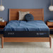 iSeries NXG 4500 13.5" Memory Foam Ultra Plush Mattress image