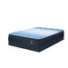 Classic Brecon 14.5" Plush Pillow Top Mattress -Queen