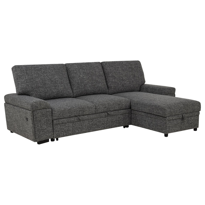 Demko Sleeper Sectional Sofa