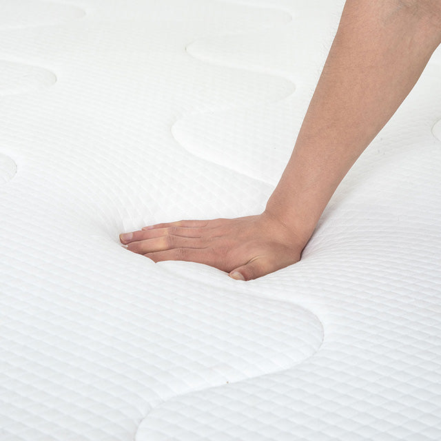 Catmint 10" Innerspring Mattress