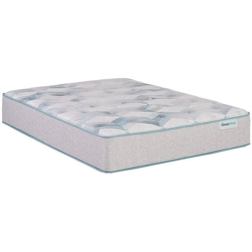 BeautySleep Dream Weaver 13.75" Plush Tight Top Mattress - Twin image