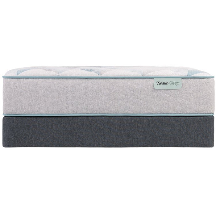 BeautySleep Dream Weaver 13.75" Plush Tight Top Mattress - Twin XL - Home And Beyond