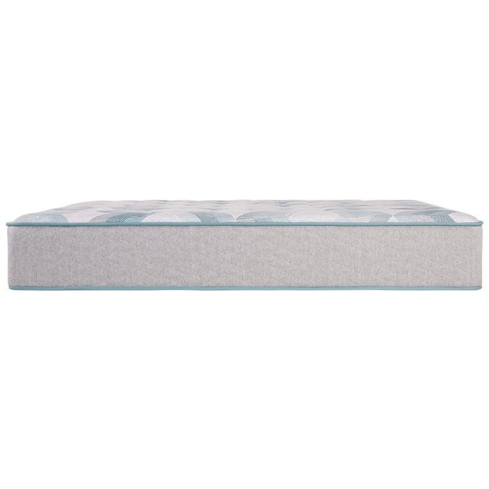 BeautySleep Dream Weaver 13.75" Plush Tight Top Mattress - Queen - Home And Beyond