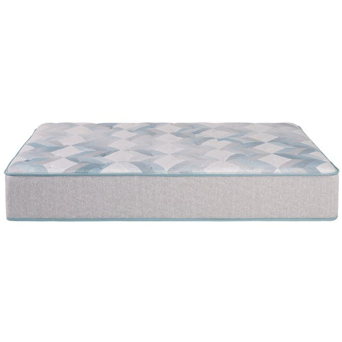 BeautySleep Dream Weaver 13.75" Plush Tight Top Mattress - Twin XL - Home And Beyond