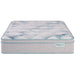 BeautySleep Dream Weaver 14.25" Ultra Plush Pillow Top Mattress - Twin XL - Home And Beyond