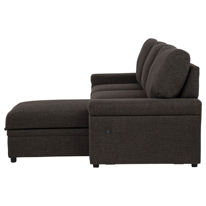 Demko Sleeper Sectional Sofa