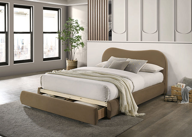 Grimsby Bed