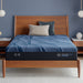 iSeries NXG 1500 12" Memory Foam Luxury Firm Mattress