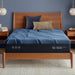 iSeries NXG 3500 13.5" Memory Foam Medium Mattress