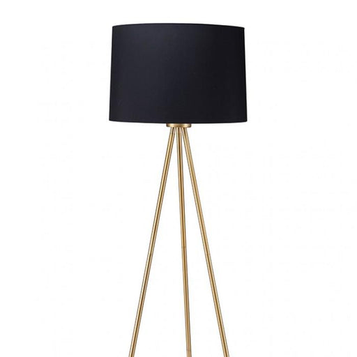 ZERA Floor Lamp, Black/Gold image